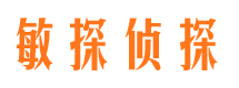 定日市婚外情调查